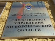 Подробности расследования дела сообщили в СК.