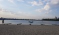 В Воронеж придет тепло.