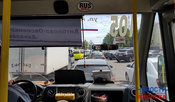 В Воронеже пока не будут вводить выделенные полосы для общественного транспорта.
