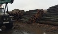 Ущерб превысил 38 млн рублей.