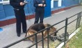 Подозрительный предмет проверила служебная собака.