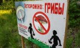 Воронежцам отменили незаконные постановления о штрафах.