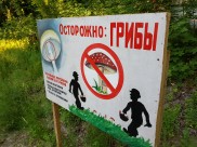 Воронежцам отменили незаконные постановления о штрафах.