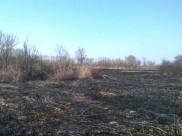 Трава сгорела на площади 500 квадратных метров.