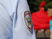 Воронежец вступил в потасовку с полицейским.
