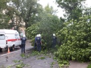 Из-за ветра могут падать деревья.