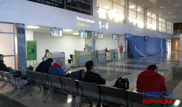 Госдума приняла закон об исключении провоза багажа из стоимости авиабилетов.