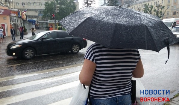 Будут идти дожди.