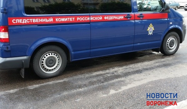 Следователи установили обстоятельства дела.