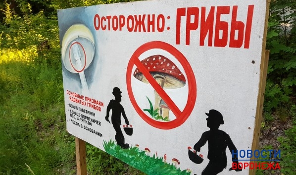 Воронежцев призывают быть аккуратными при употреблении грибов.