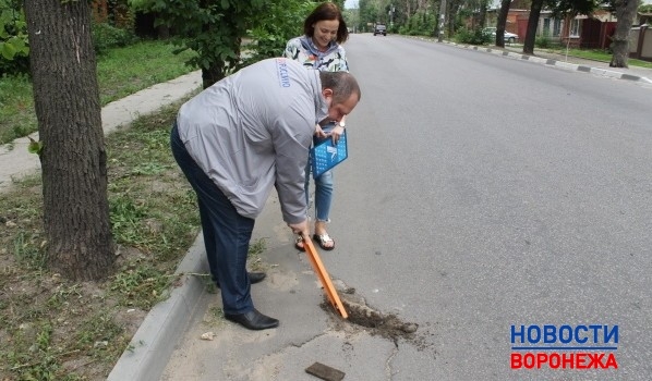 Активисты провели рейд по дорогам Воронежа.