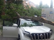 В ветер деревья падают на машины.