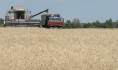 Сбор урожая.