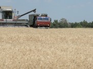 Сбор урожая.