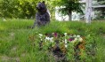Будет ясно, но холодно ночами.