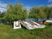 Сейчас лучшее время отдохнуть на природе.