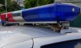 Полицейские задержали похитителей бычка.