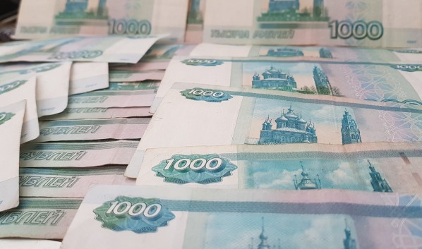 Бизнесмен нелегально получил субсидии.