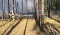 Пожар ликвидирован.