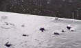 Воронежцев предупреждают о грозах сегодня днем и ночью.
