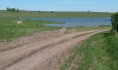 Москвичи оформили себе в собственность землю с прудом.