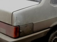 Мужчины связали животных и погрузили в салон.