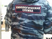 На месте работали кинологи с собаками.
