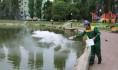 Вносят бактерии в озеро.