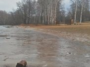 Воронежцев предупреждают о заморозках.