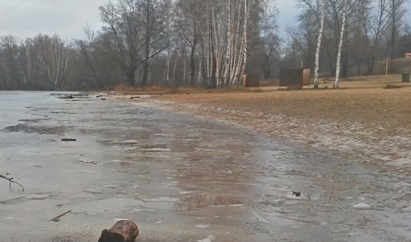 Воронежцев предупреждают о заморозках.