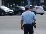 Подозреваемых поймали.