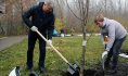 Мэр Александр Гусев на субботнике.