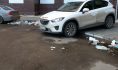 Воронежцы признали наш город грязным.