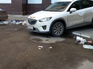 Воронежцы признали наш город грязным.