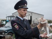 Максим Стряпчих из Каширского района.