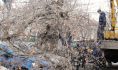 При сильном ветре могут падать деревья.