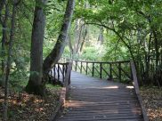 В Воронеже будут теплые деньки.