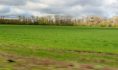В собственность региона оформляют невостребованные земли.
