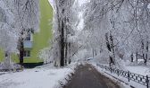 В Воронеже будет снежно и морозно.