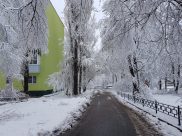 В Воронеже будет снежно и морозно.
