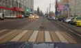 В Воронеже на переходе сфотографировали лису.