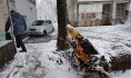 Горожан предупреждают о сильном ветре.
