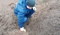 Боеприпас уничтожили.