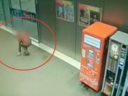 Воронежец подбирает чужую борсетку.