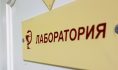 Чаще стали фиксировать бешенство у животных.