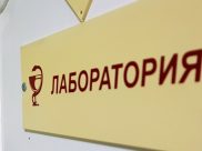 Чаще стали фиксировать бешенство у животных.