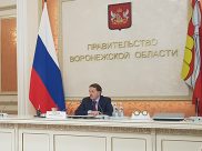 Алексей Гордеев.