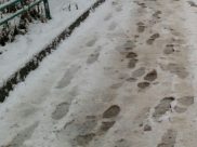 «Зорро» взял след преступника.