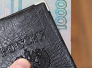 Мужчина вложил деньги в паспорт.