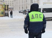 Сотрудник ДПС.